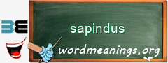 WordMeaning blackboard for sapindus